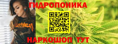 ГАЛЛЮЦИНОГЕННЫЕ ГРИБЫ Нарткала