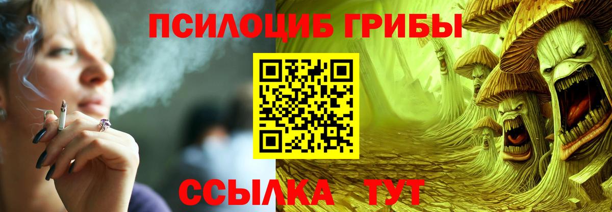 Верхняя Пышма  Галлюциногенные грибы Cubensis  Вход с VPN 