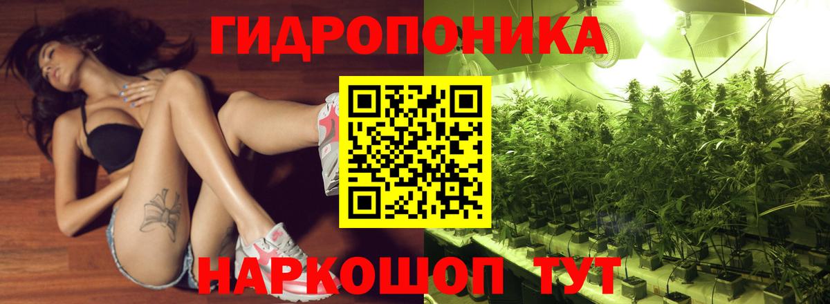 Бошки марихуана план  Бошки марихуана план  Вход с VPN  Верхняя Пышма  Шишки марихуана индика 